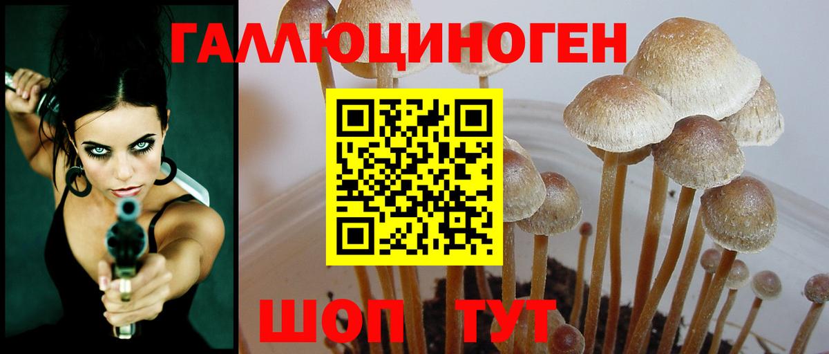 Галлюциногенные грибы Cubensis  Вход с VPN  Рубцовск 